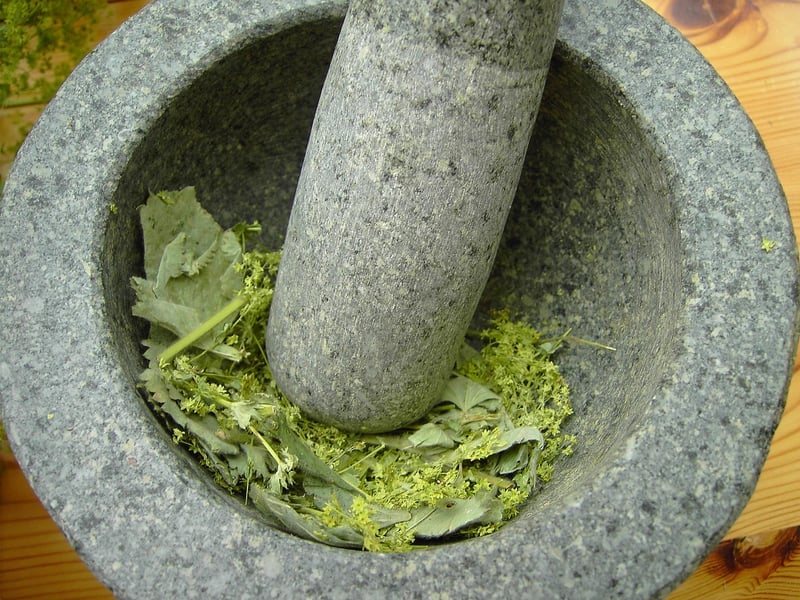 Alchemy Plants