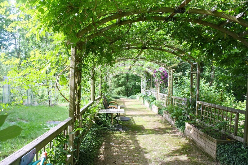 Enchanted Garden