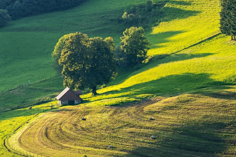 Whispering Meadows