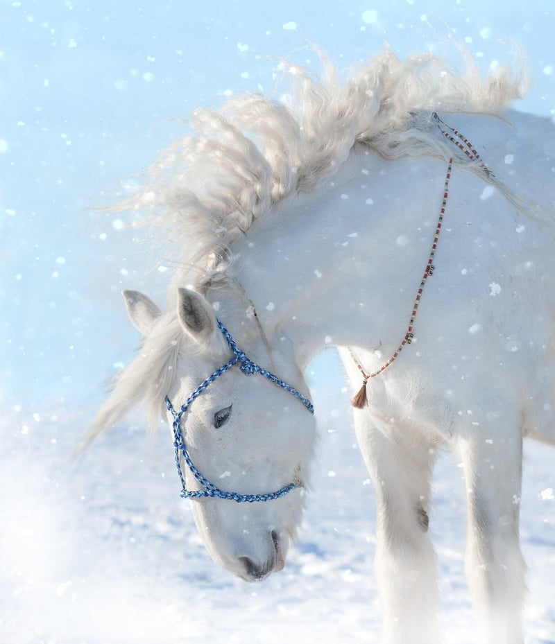 Unicorn Meadows