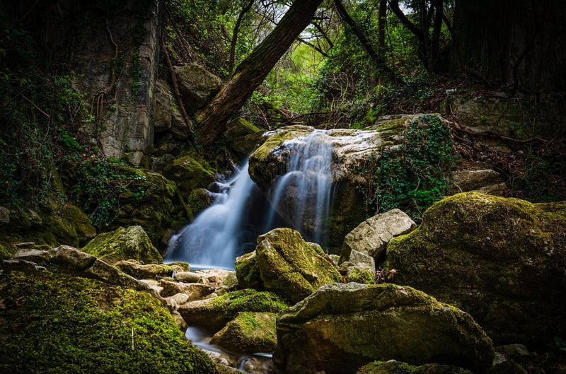 Magical Water Gardens
